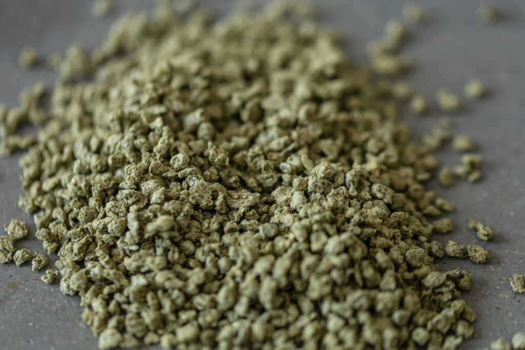 grass-based bioplastic